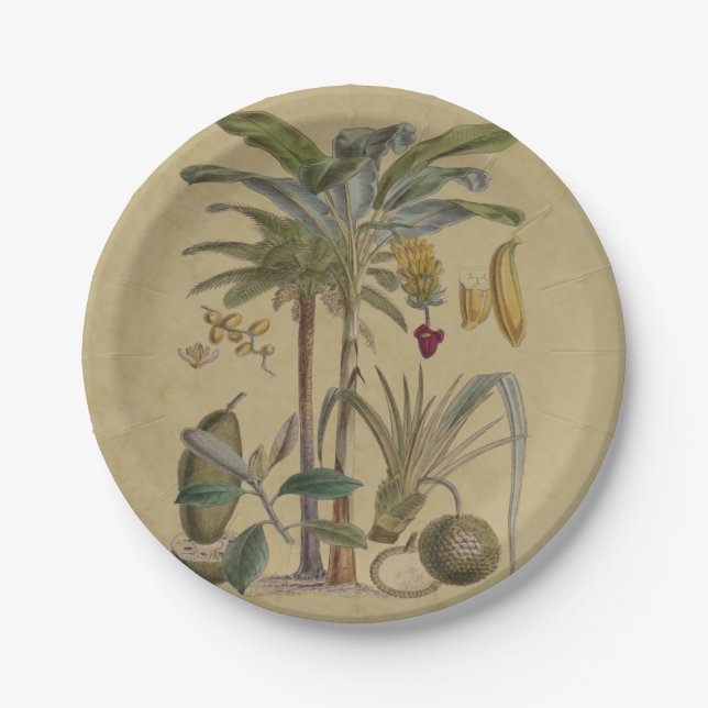 Palm Antique Tropical Frucht Botanische Kunst Pappteller (Vorderseite)