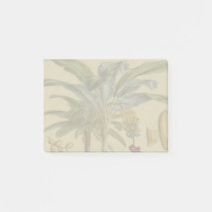 Palm Antique Tropical Frucht Botanische Kunst Post-it Klebezettel