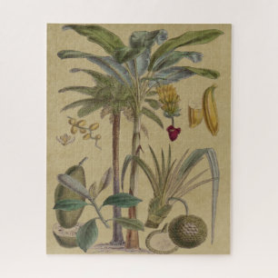 Palm Antique Tropical Frucht Botanische Kunst Puzzle