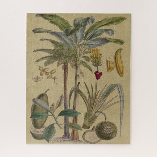 Palm Antique Tropical Frucht Botanische Kunst Puzzle (Vertikal)