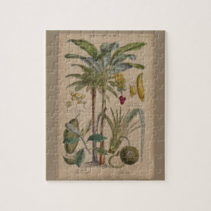 Palm Antique Tropical Frucht Botanische Kunst Puzzle