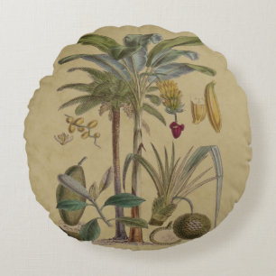 Palm Antique Tropical Frucht Botanische Kunst Rundes Kissen