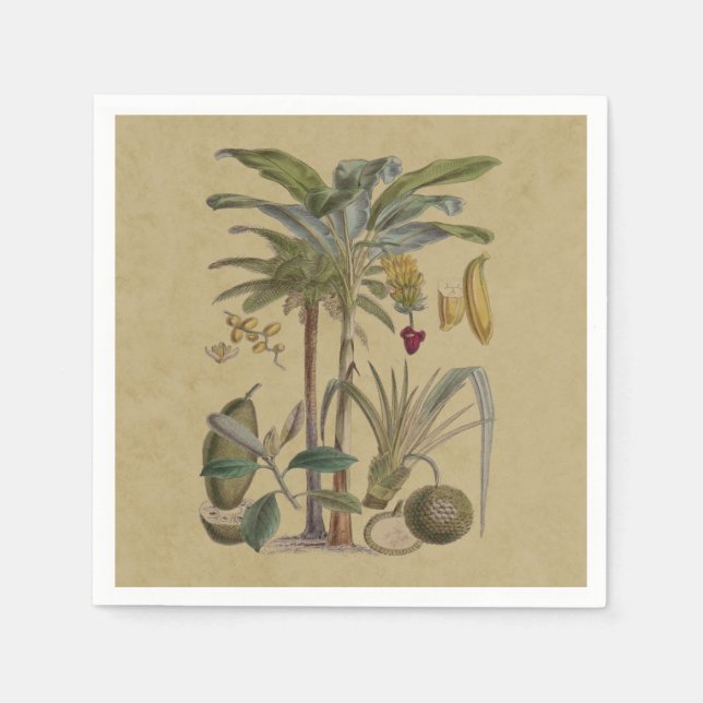 Palm Antique Tropical Frucht Botanische Kunst Serviette (Vorderseite)