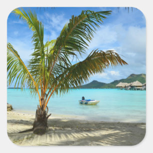 Palm-Baum und Aufkleber für das Überwasser