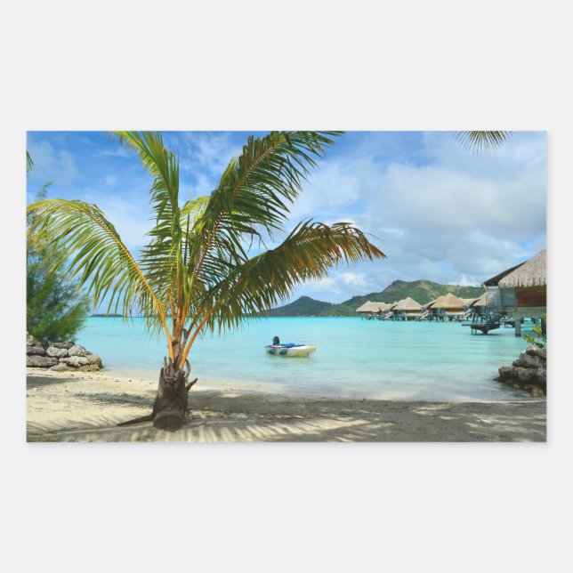 Palm-Baum und Rechteck-Aufkleber für das Überwasse Rechteckiger Aufkleber (Vorderseite)