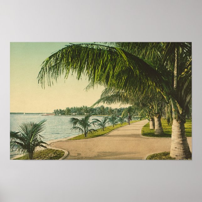 Palm Beach 1898 Vintag Florida Szene Poster (Vorne)