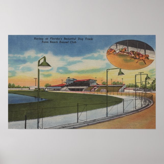 Palm Beach, FL - Kennel Club, Dog Racing Track Poster (Vorne)