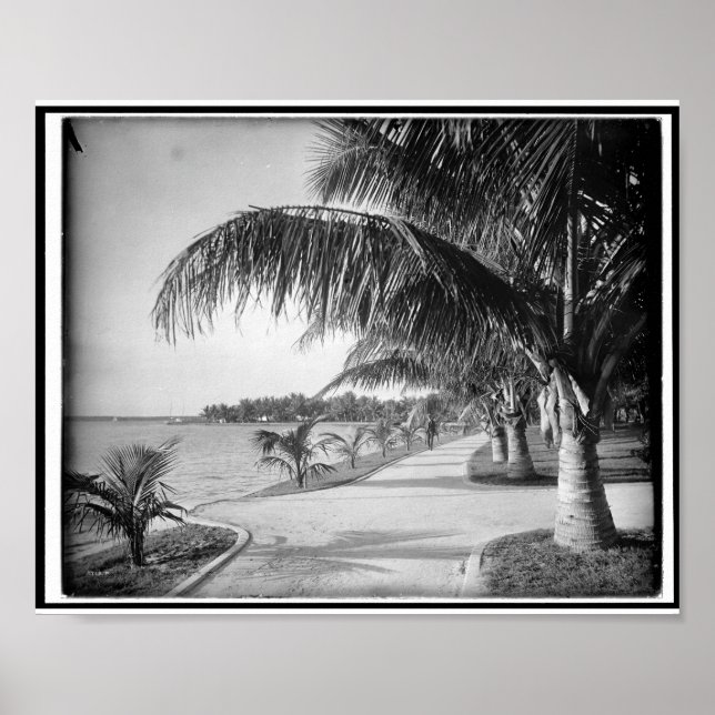 Palm Beach, Florida c1894 Vintag Poster (Vorne)
