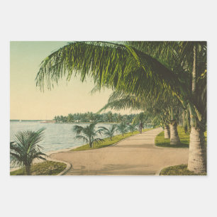 Palm Beach Florida Vintag 1898 Geschenkpapier Set
