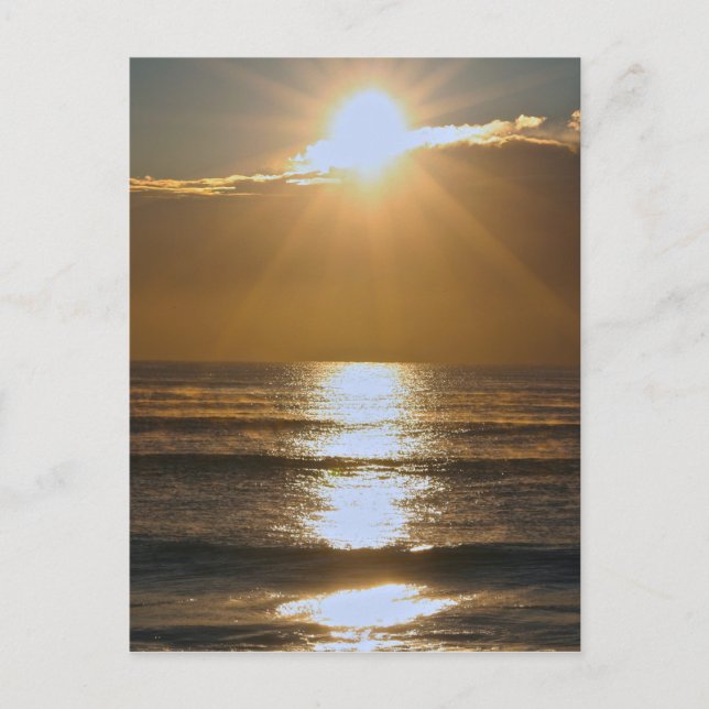 Palm Beach Sonnenaufgang Postkarte (Vorderseite)