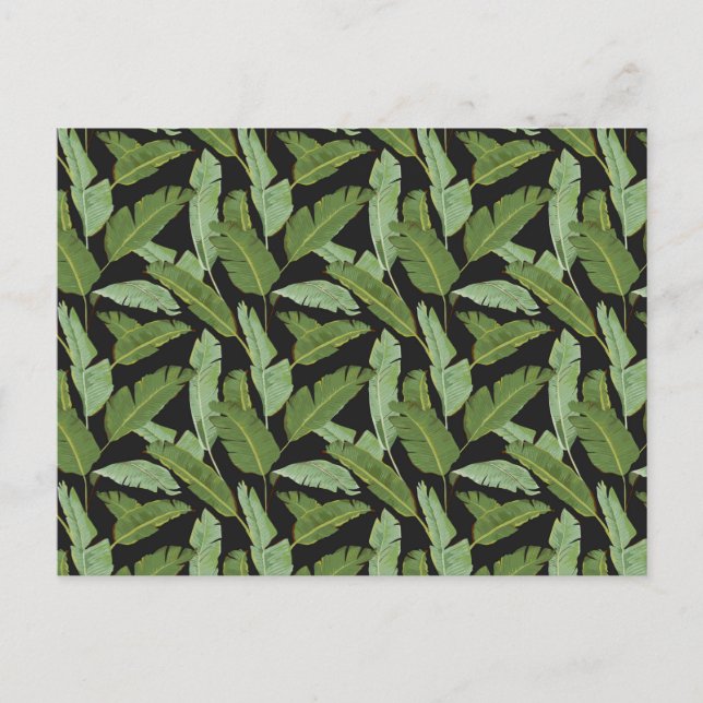 Palm Blätter 2 Postkarte (Vorderseite)