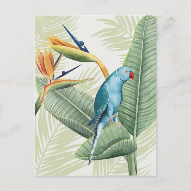 Palm-Blätter mit Blauem Vogel Postkarte (Vorderseite)