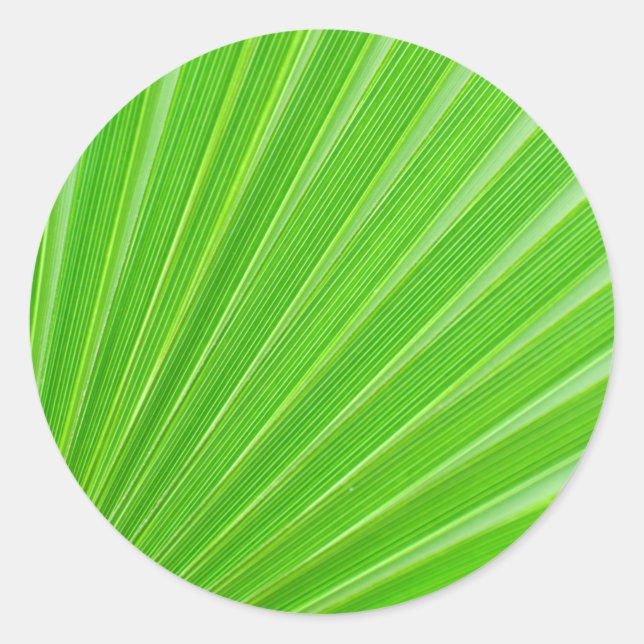 Palm-Blätter Runder Aufkleber (Vorderseite)