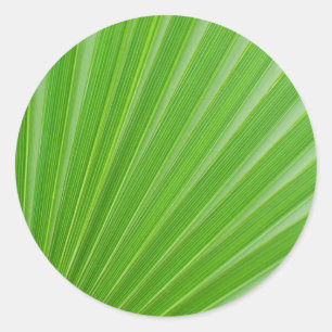 Palm-Blätter Runder Aufkleber