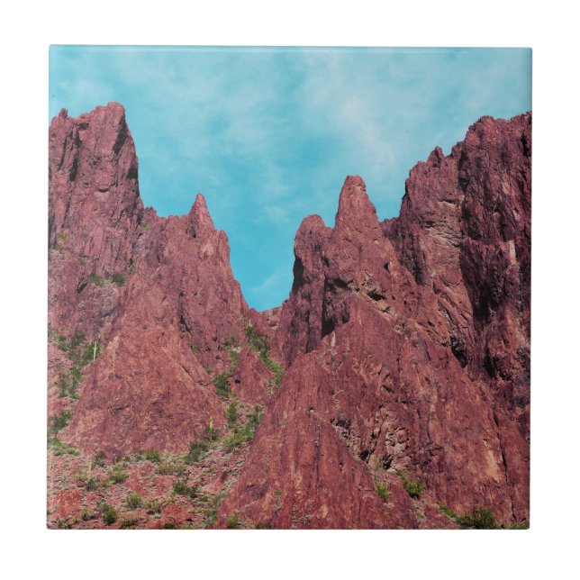 Palm Canyon Arizona Fliese (Vorderseite)