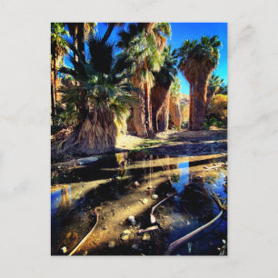 Palm Canyon California Postkarte