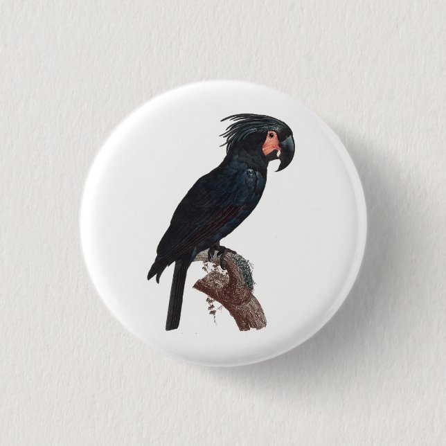 Palm Cockatoo, Probosciger aterrimus Parrot Button (Vorderseite)