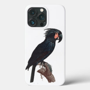 Palm Cockatoo, Probosciger aterrimus Parrot Case-Mate iPhone Hülle