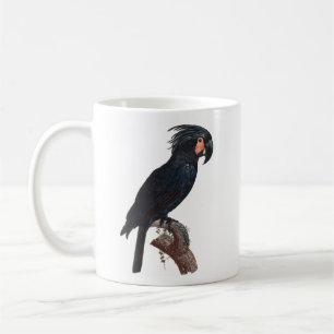 Palm Cockatoo, Probosciger aterrimus Parrot Co Kaffeetasse
