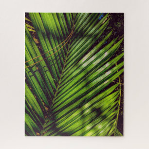 Palm Frontend, Pine Needles and Shadows Puzzle
