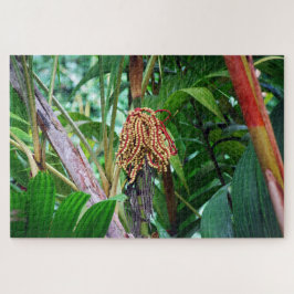 Palm Fruit in Hawaii Puzzle