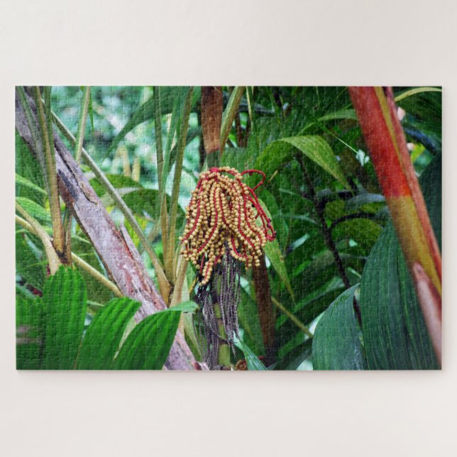 Palm Fruit in Hawaii Puzzle (Horizontal)