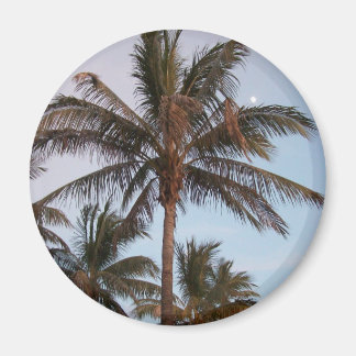 Palm Gets Mooned Magnet