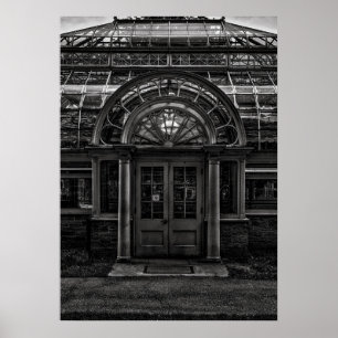 Palm House No 4 Poster