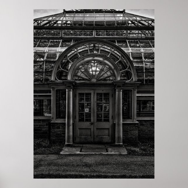 Palm House No 4 Poster (Vorne)