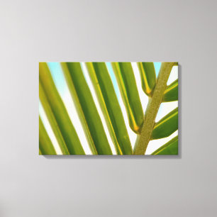 Palm Leaf Foto Leinwanddruck
