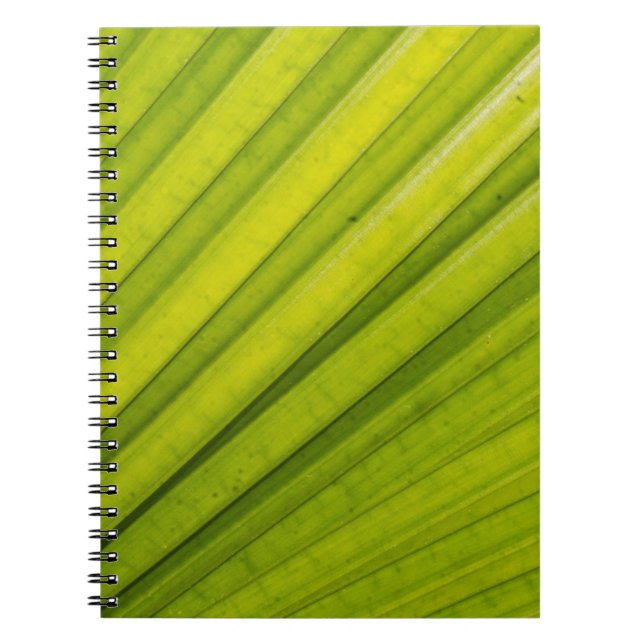 Palm Leaf Notizblock (Vorderseite)