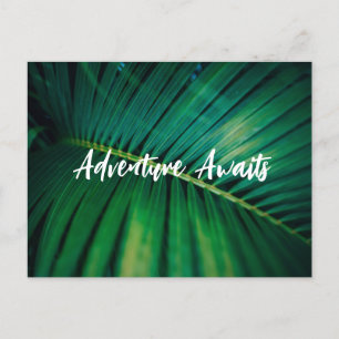Palm Leaf Postkarte