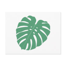 Palm Leaf