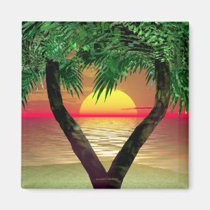 Palm Magnet