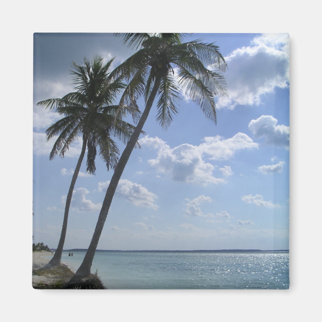 Palm Magnet 2 (Vorne)