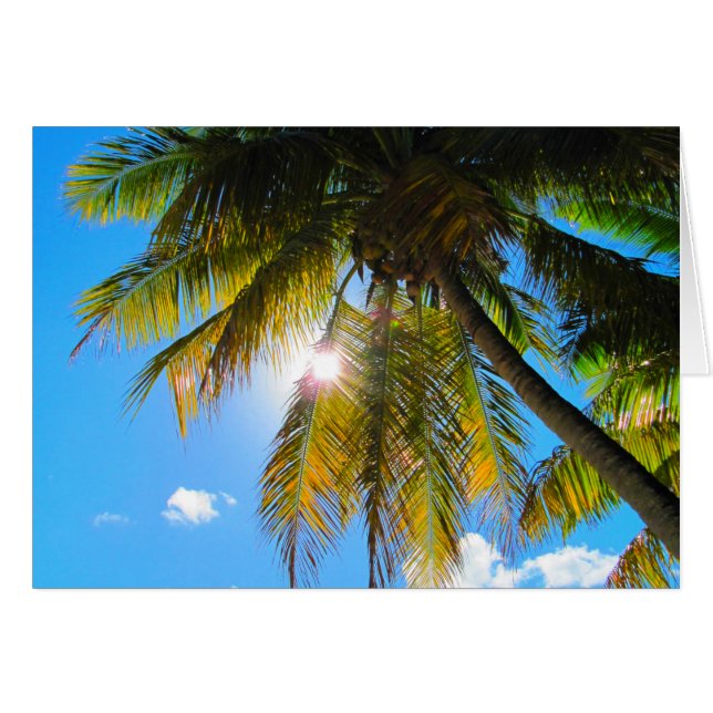 Palm Paradise Blue Sky Sunshine (Vorderseite (Horizontal))