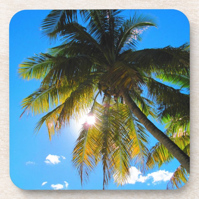 Palm Paradise Blue Sky Sunshine Getränkeuntersetzer (Vorderseite)