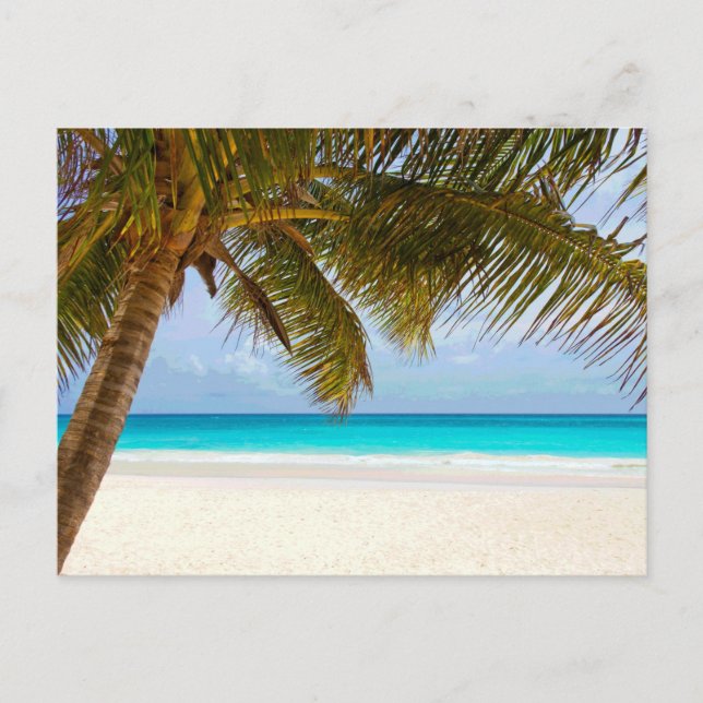 Palm Paradise Blue Sky Sunshine Postkarte (Vorderseite)