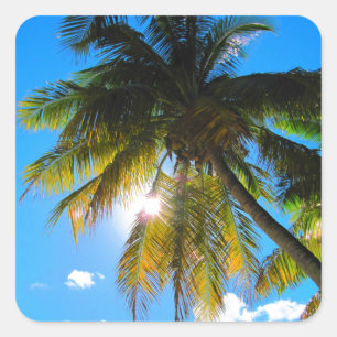 Palm Paradise Blue Sky Sunshine Quadratischer Aufkleber