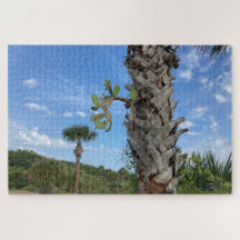 Palm & Prickle - Stilles Gluträtsel