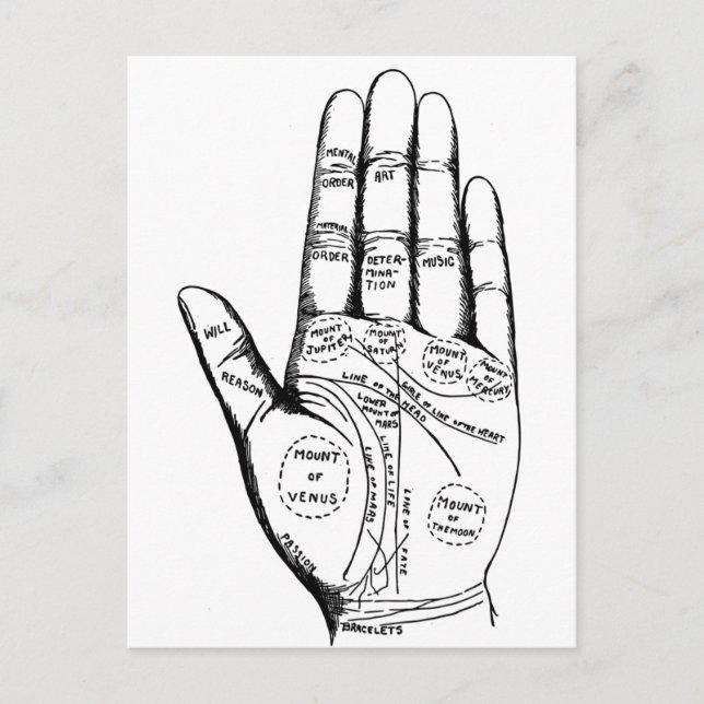 Palm Reading Chart Palmistry Wahrsager Zukunft Postkarte (Vorderseite)
