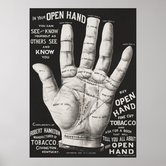 Palm Reading Poster (Vorne)
