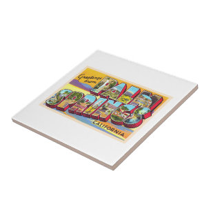 Palm Springs California CA Large Letter Postcard Fliese