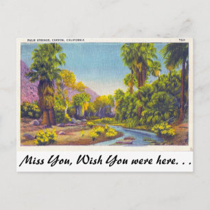 Palm Springs Canyon, Kalifornien Postkarte