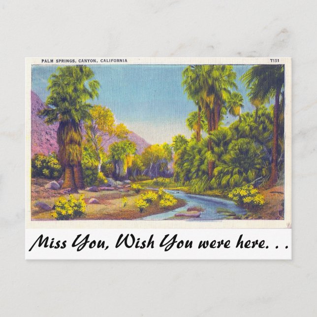 Palm Springs Canyon, Kalifornien Postkarte (Vorderseite)
