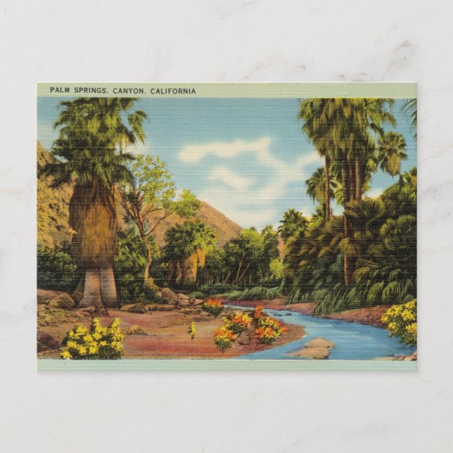 Palm Springs Canyon, Kalifornien Postkarte (Vorderseite)