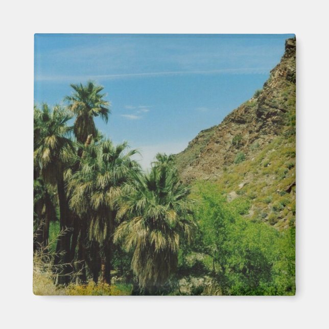 Palm Springs Magnet (Vorne)