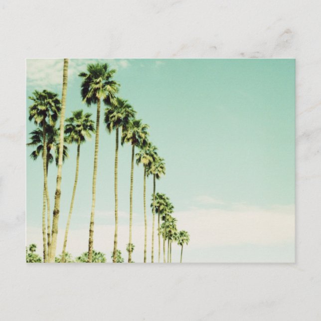 Palm Springs Postkarte (Vorderseite)