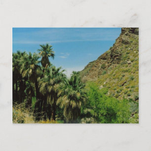 Palm Springs Scene Postkarte