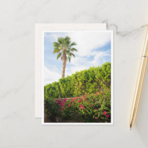 Palm Springs Wüstenblumen & Palme Postkarte